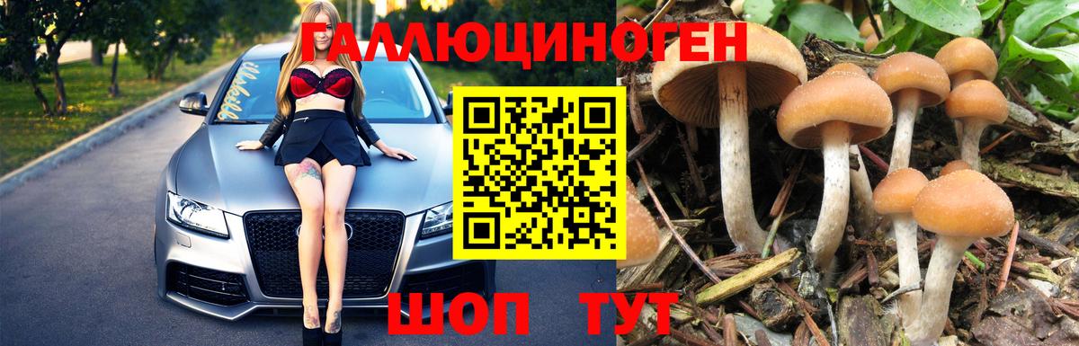 Псилоцибиновые грибы Magic Shrooms  Вход с VPN  Южно-Сахалинск  Галлюциногенные грибы мицелий 